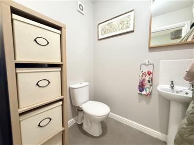 Picture 11